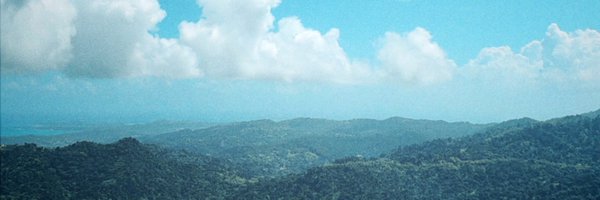 quinn_baird Profile Banner