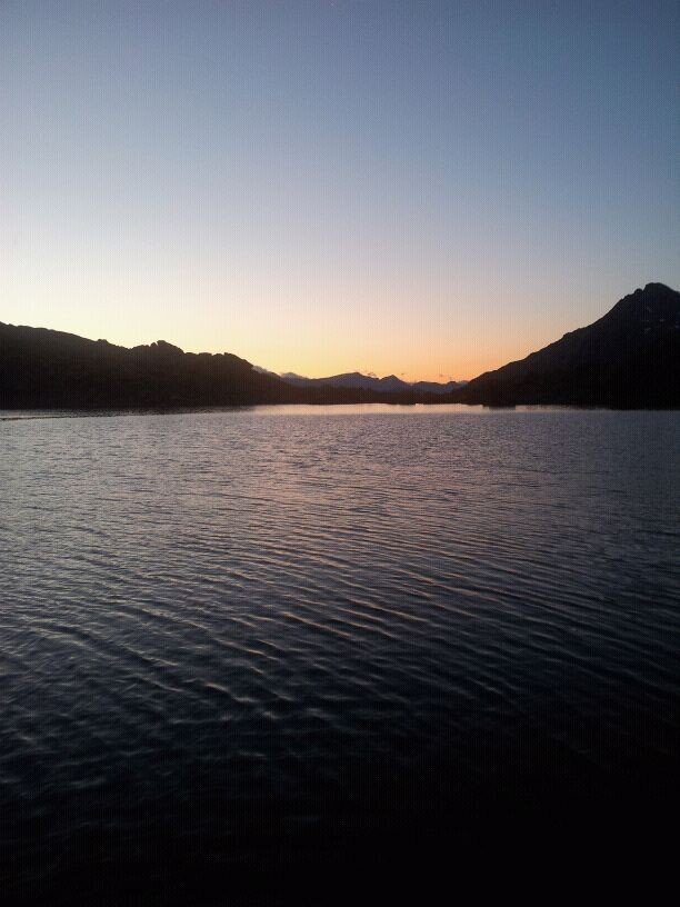 Alan Roncoroni banner