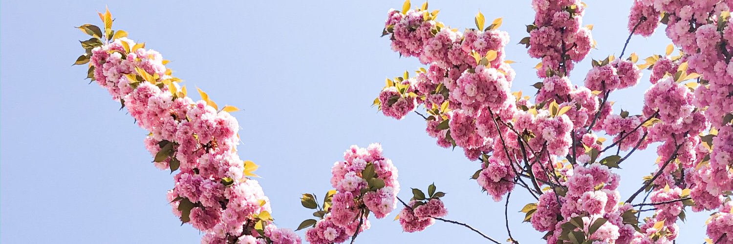 cu0re_'s profile banner image