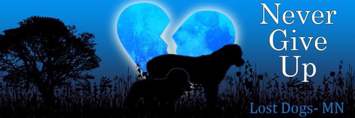 LostDogsMn's profile banner image