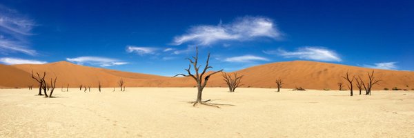 jcmauduit Profile Banner