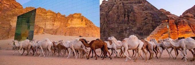Abdullahs1111's profile banner image