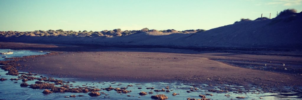 AlianzaKeloni's profile banner image