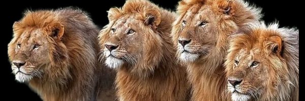 Coach_JSims Profile Banner