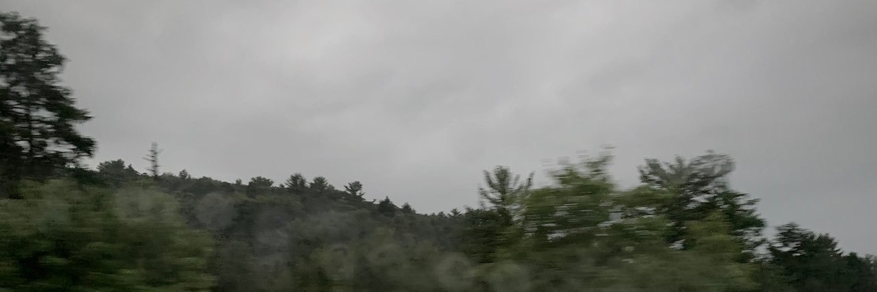 vineyardhes's profile banner image