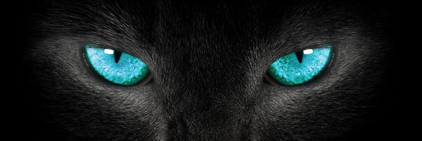 Chris67M's profile banner image