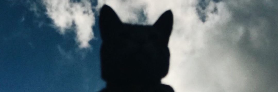 MiaTaurian's profile banner image