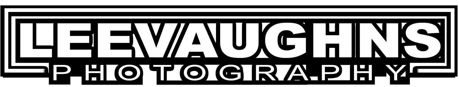 _leevaughn's profile banner image