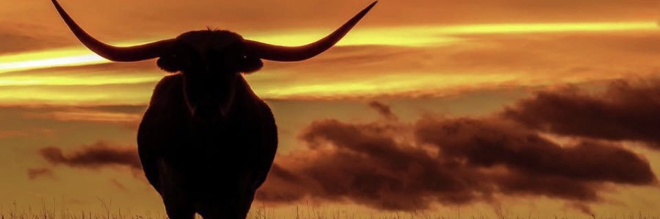 Steven Kelly🤘🏼 banner