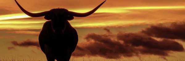 stevek1973 Profile Banner
