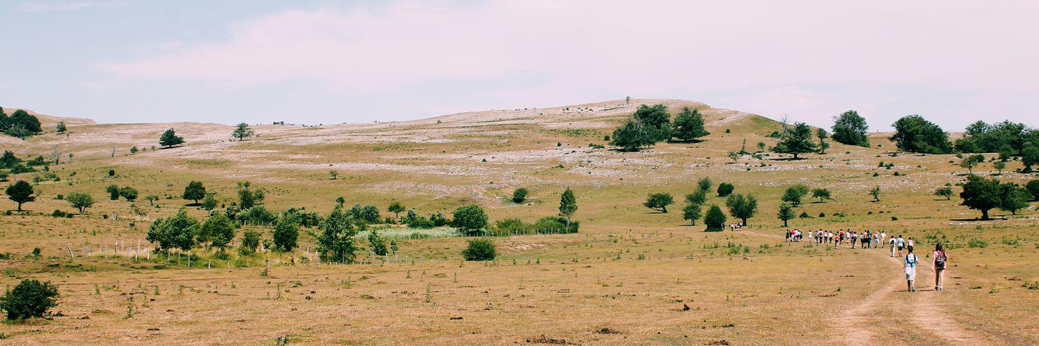 irenebarrera_'s profile banner image