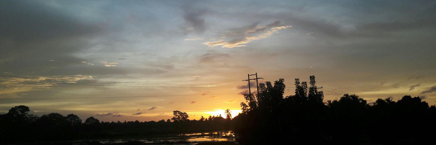 sandylz10's profile banner image