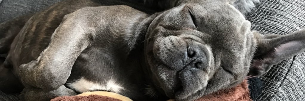KennedyPage3's profile banner image