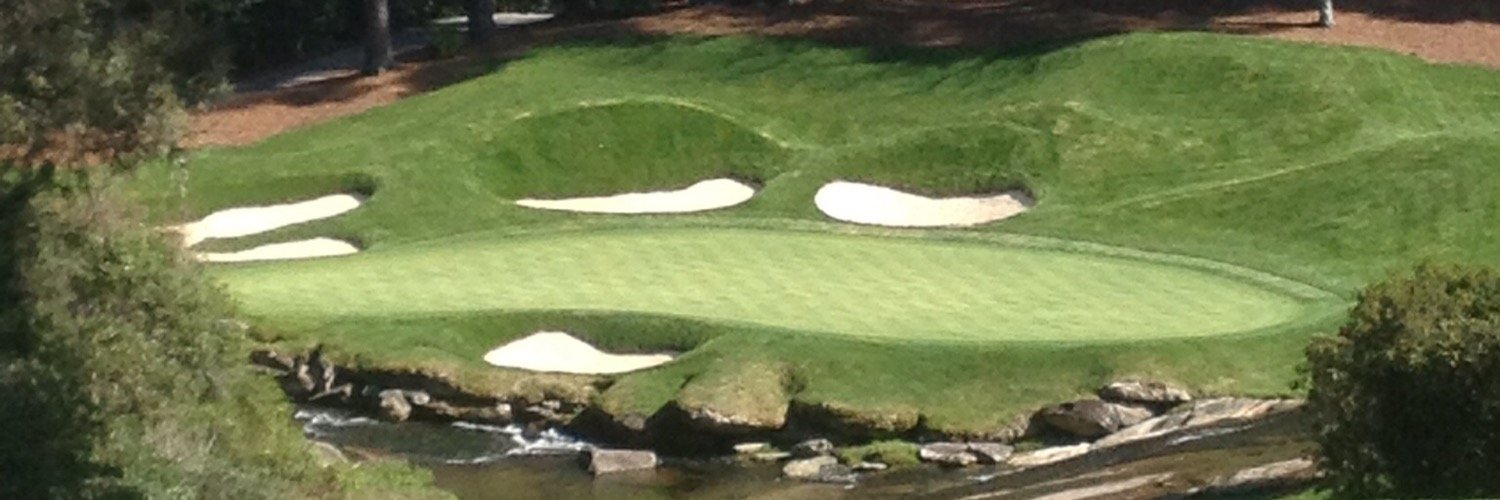 David McIntosh banner