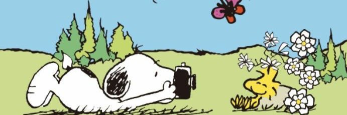 c0lehicks's profile banner image