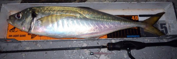 TJA_Ti Profile Banner