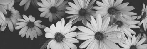 EsmChristensen's profile banner image