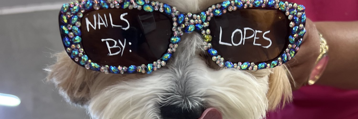 lopesnicolee's profile banner image