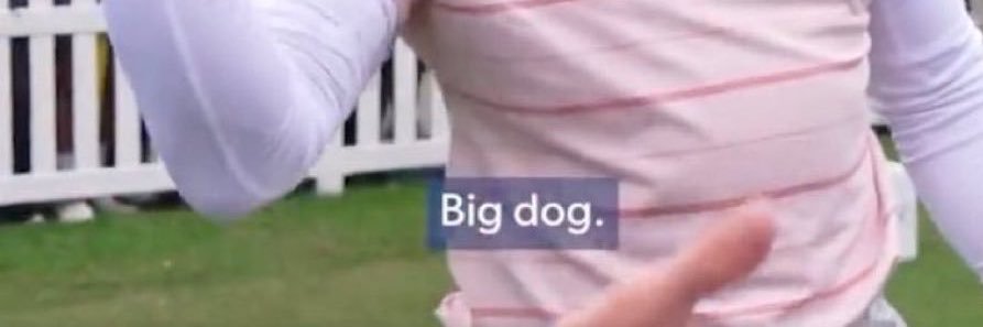 bigdogchingona's profile banner image