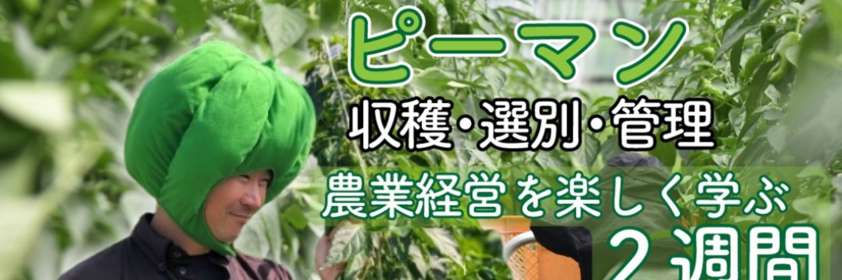 ピーマン社長のおのちゃん banner