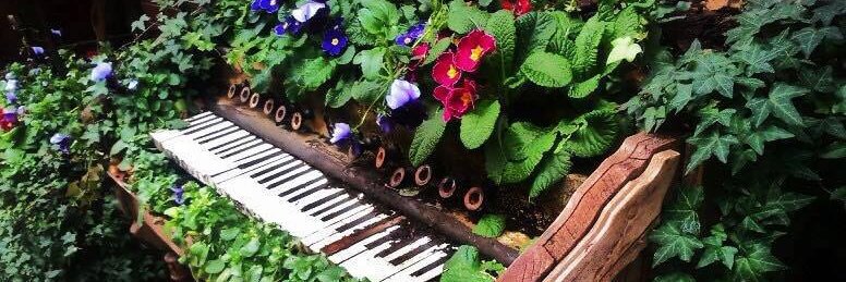 Accidental Ninja banner