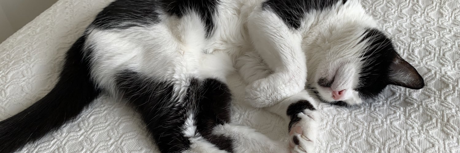 Drew McDaniel banner