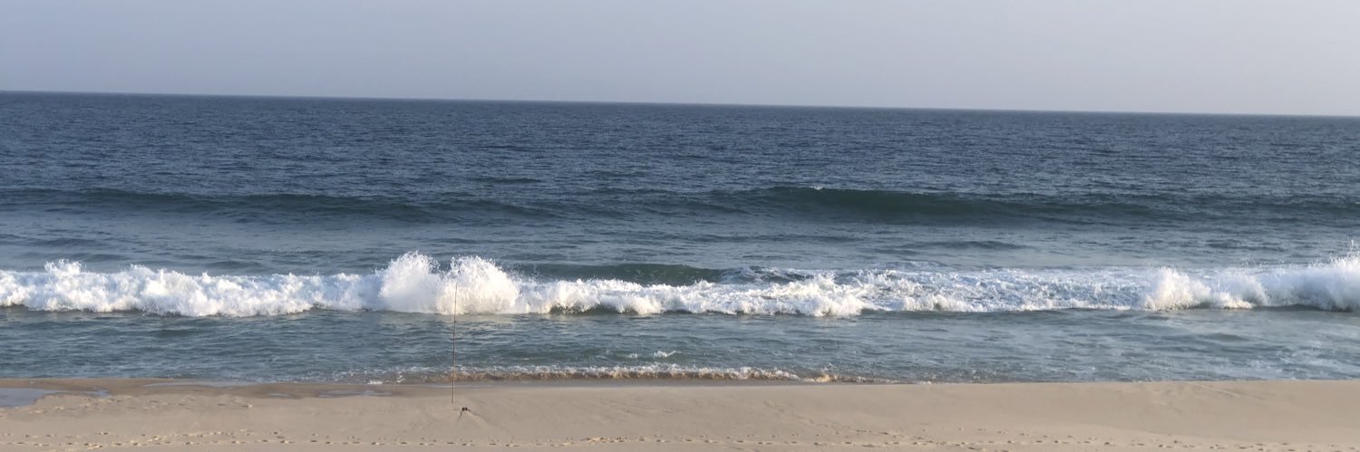 Aline Henriques banner