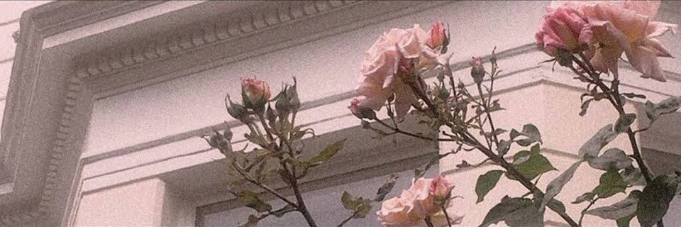 JustMarieG's profile banner image