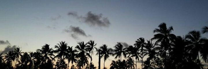 Cami_Veronelli's profile banner image