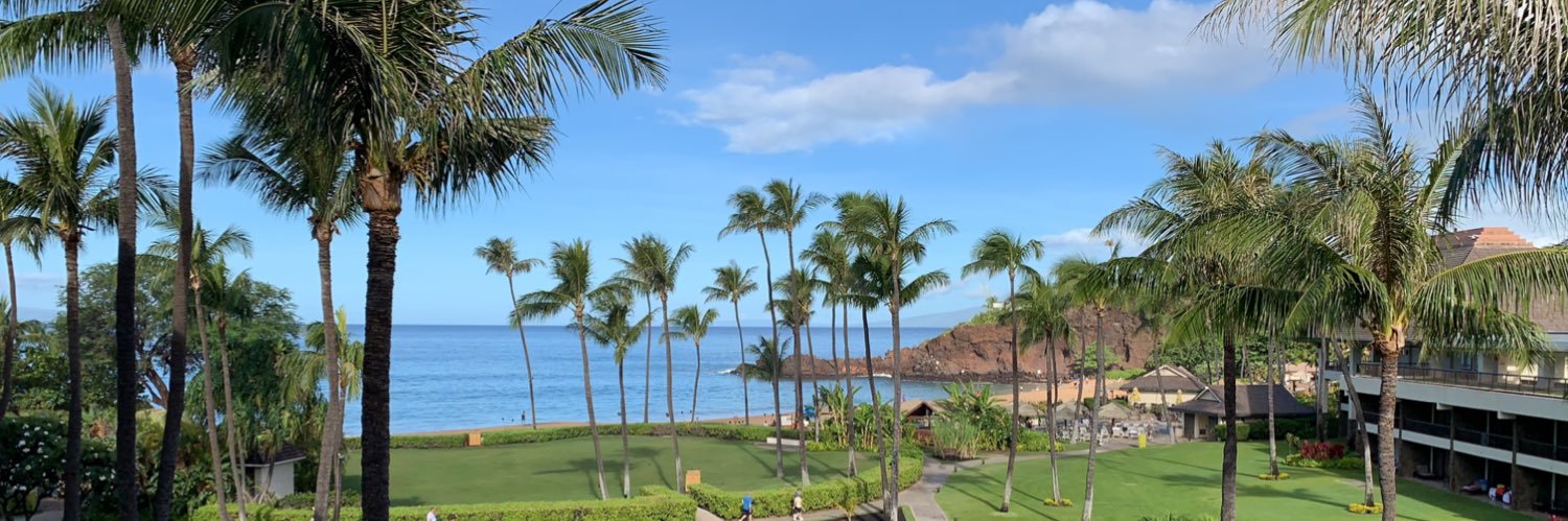 One Bent Toe Link banner