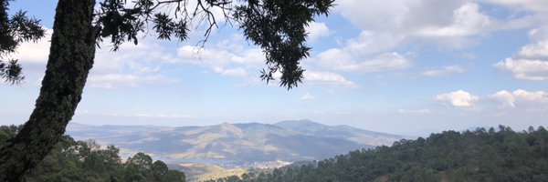 qucho Profile Banner