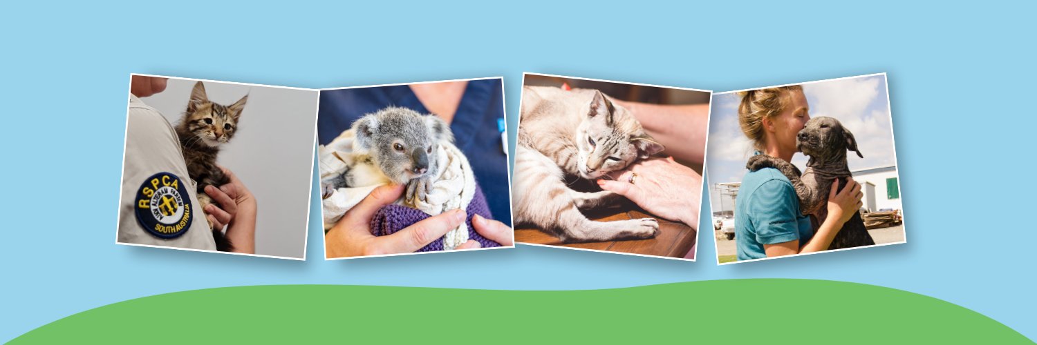 RSPCA SouthAustralia banner