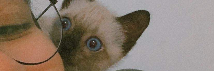 . banner