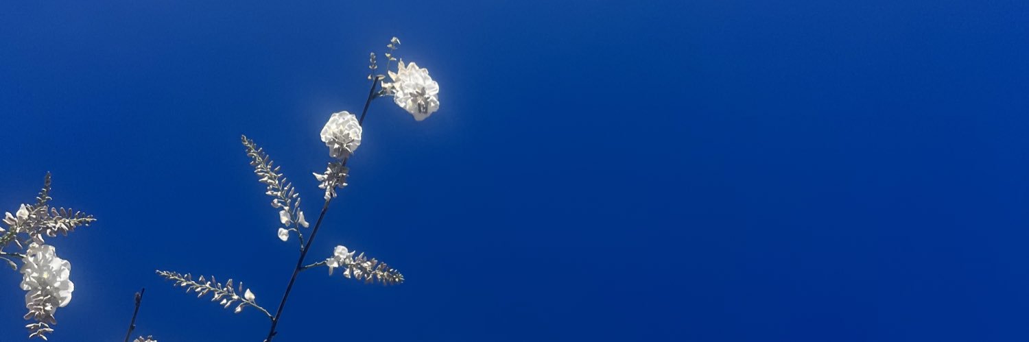 lilslut404's profile banner image