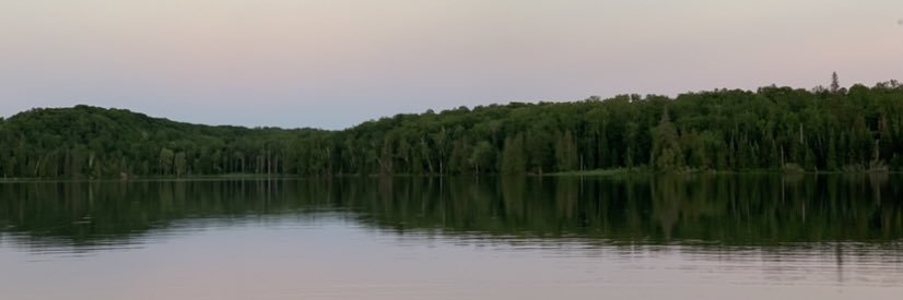 NickSentjens's profile banner image