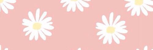 Karla Monegro banner