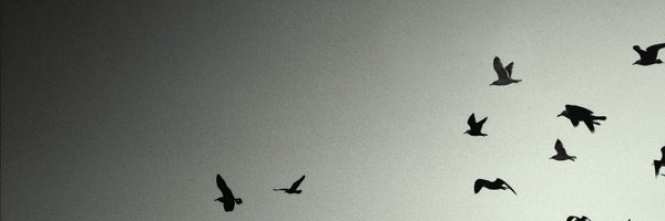 tomz_fh Profile Banner