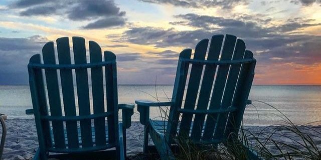 joannarippon's profile banner image