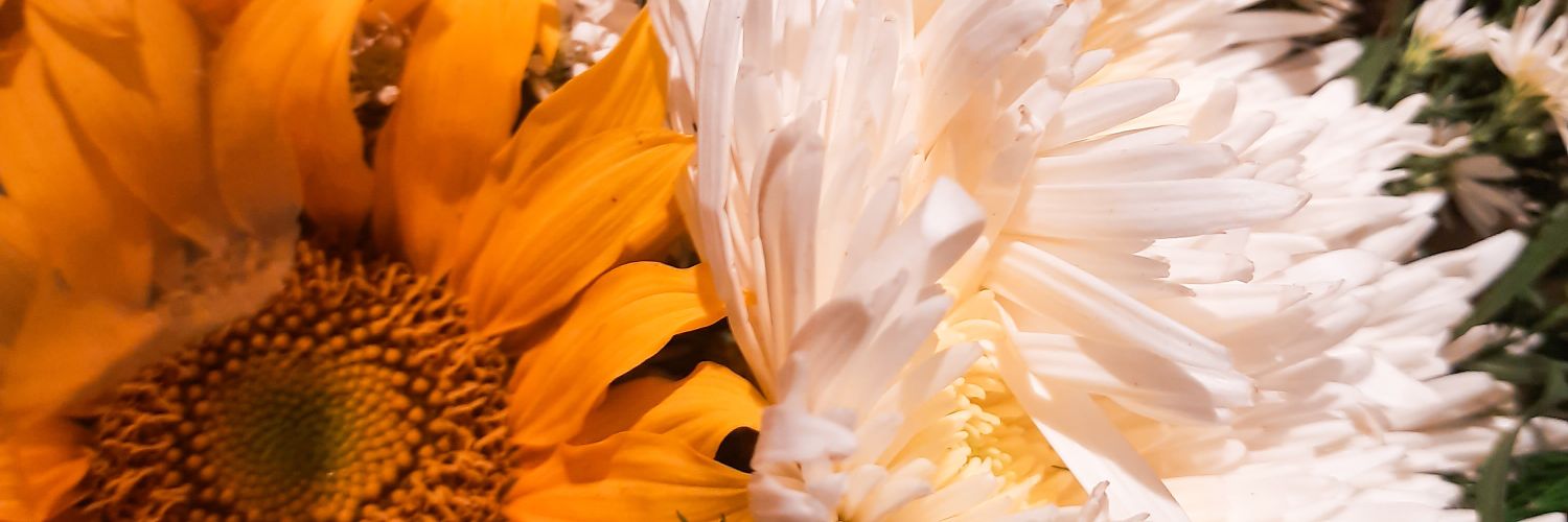 kikurisme's profile banner image
