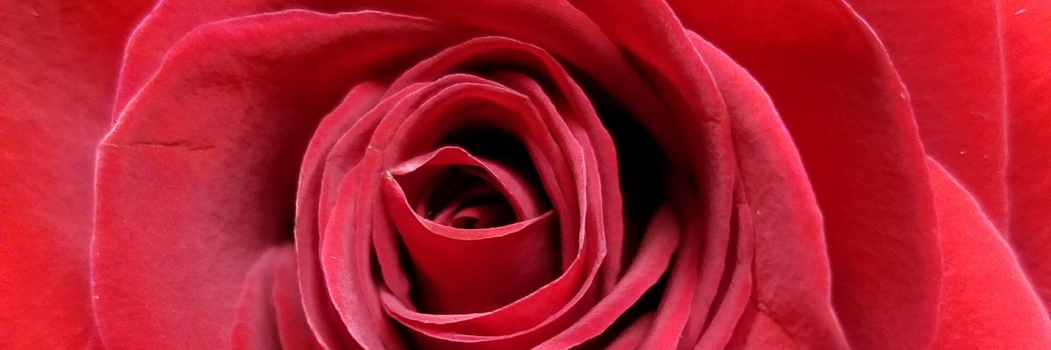 Bonnierae85's profile banner image