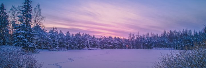 backpkr67's profile banner image