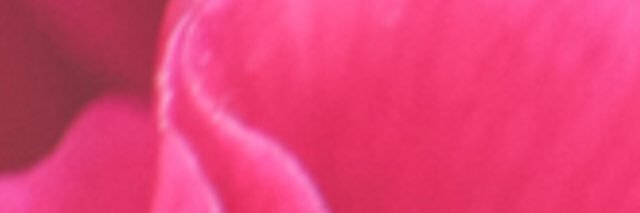 CatherineAHamil's profile banner image