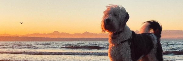 colinokeefe Profile Banner