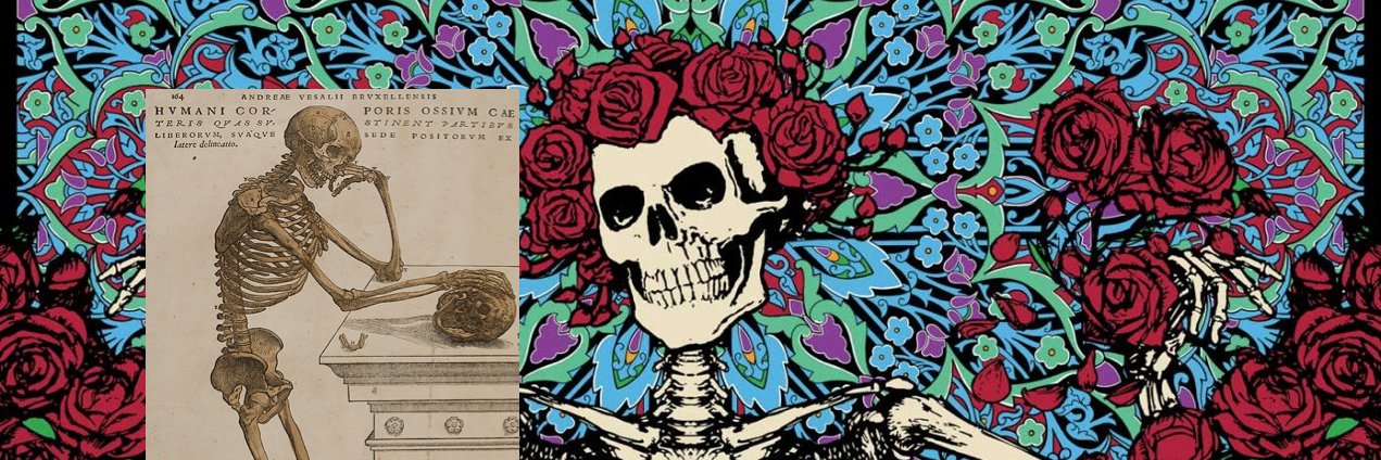 george demetri banner