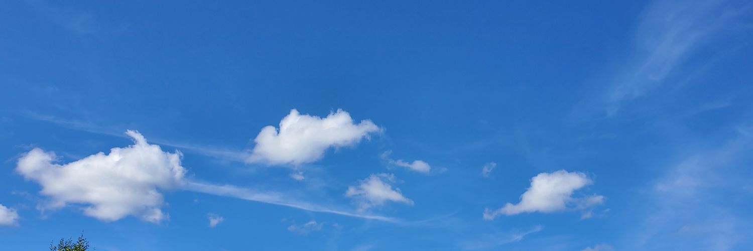 Michael Foreman banner