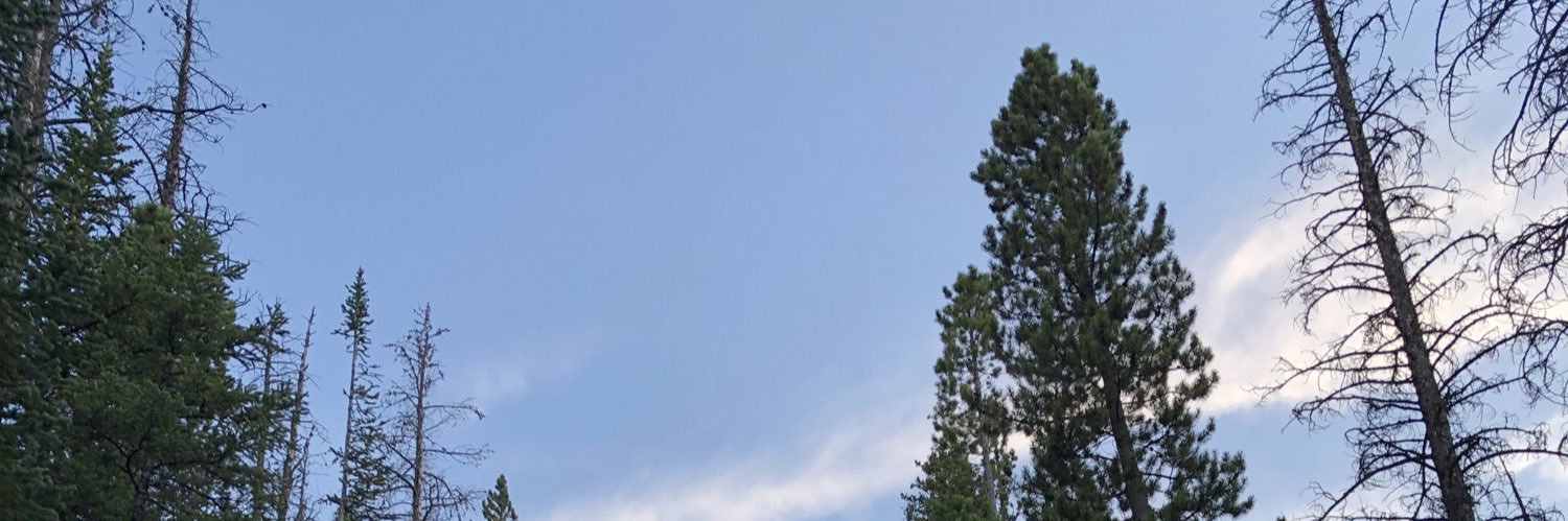 CDRohr's profile banner image