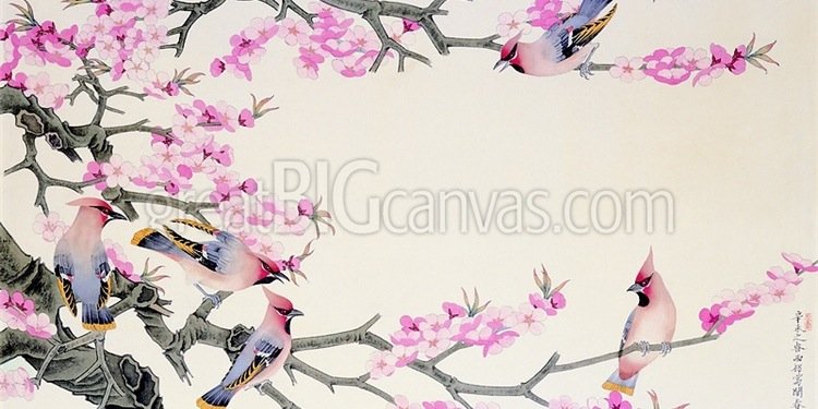 ella877's profile banner image