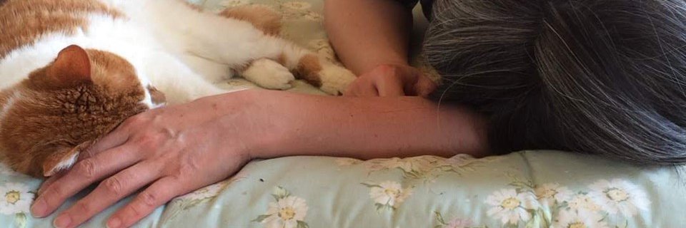 elle_zo's profile banner image