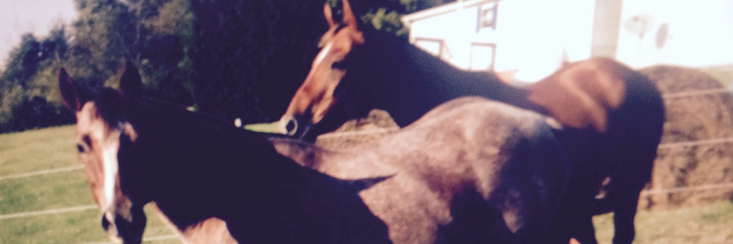 KayKrince's profile banner image