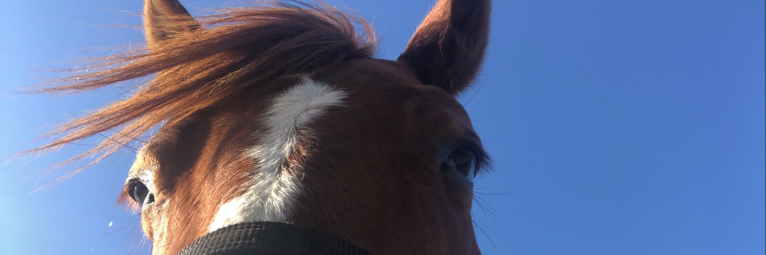 DestiniElainee's profile banner image